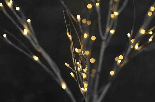 Lumière d'arbre à LED